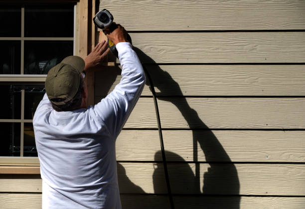 Best Steel Siding Installation  in Phelan, CA