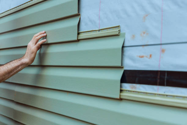 Best Historical Building Siding Restoration  in Phelan, CA